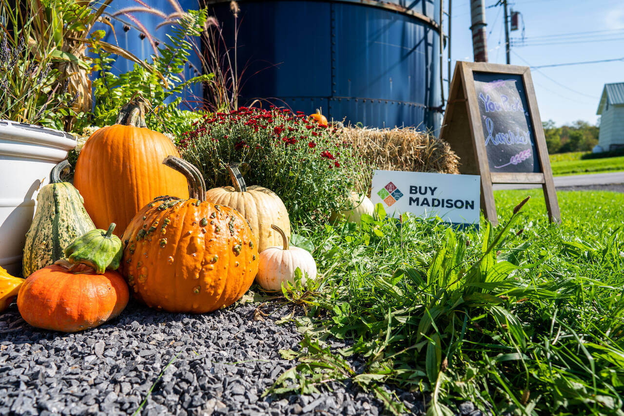 Pumpkins and fall decor at Farmstead 1868 in Cazenovia NY