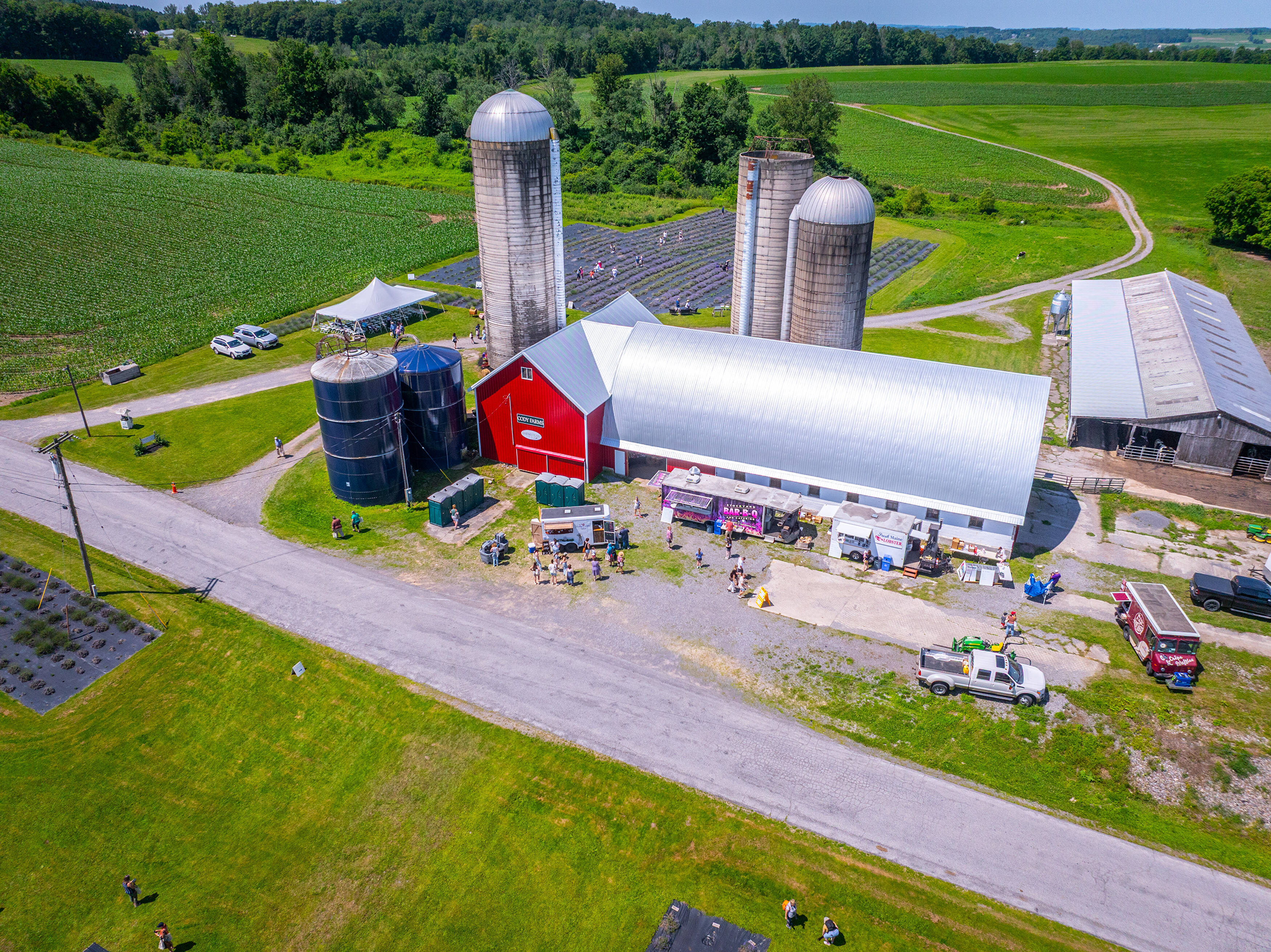 Cazenovia NY lavender festival details