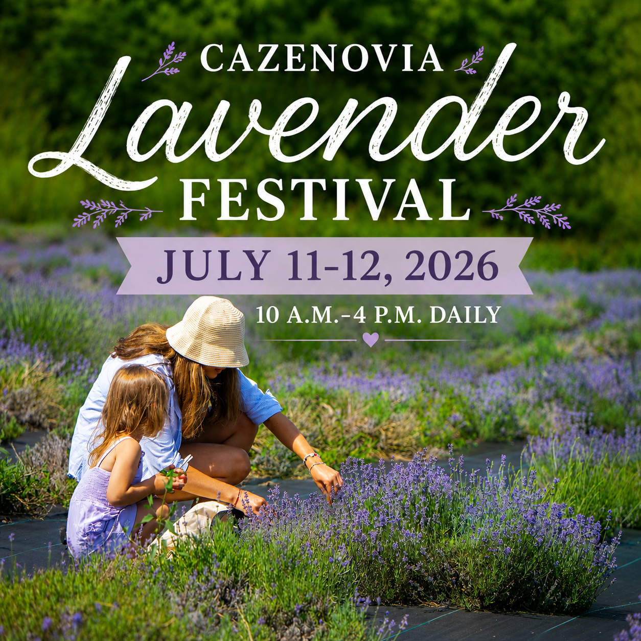 Cazenovia NY Lavender Festival
