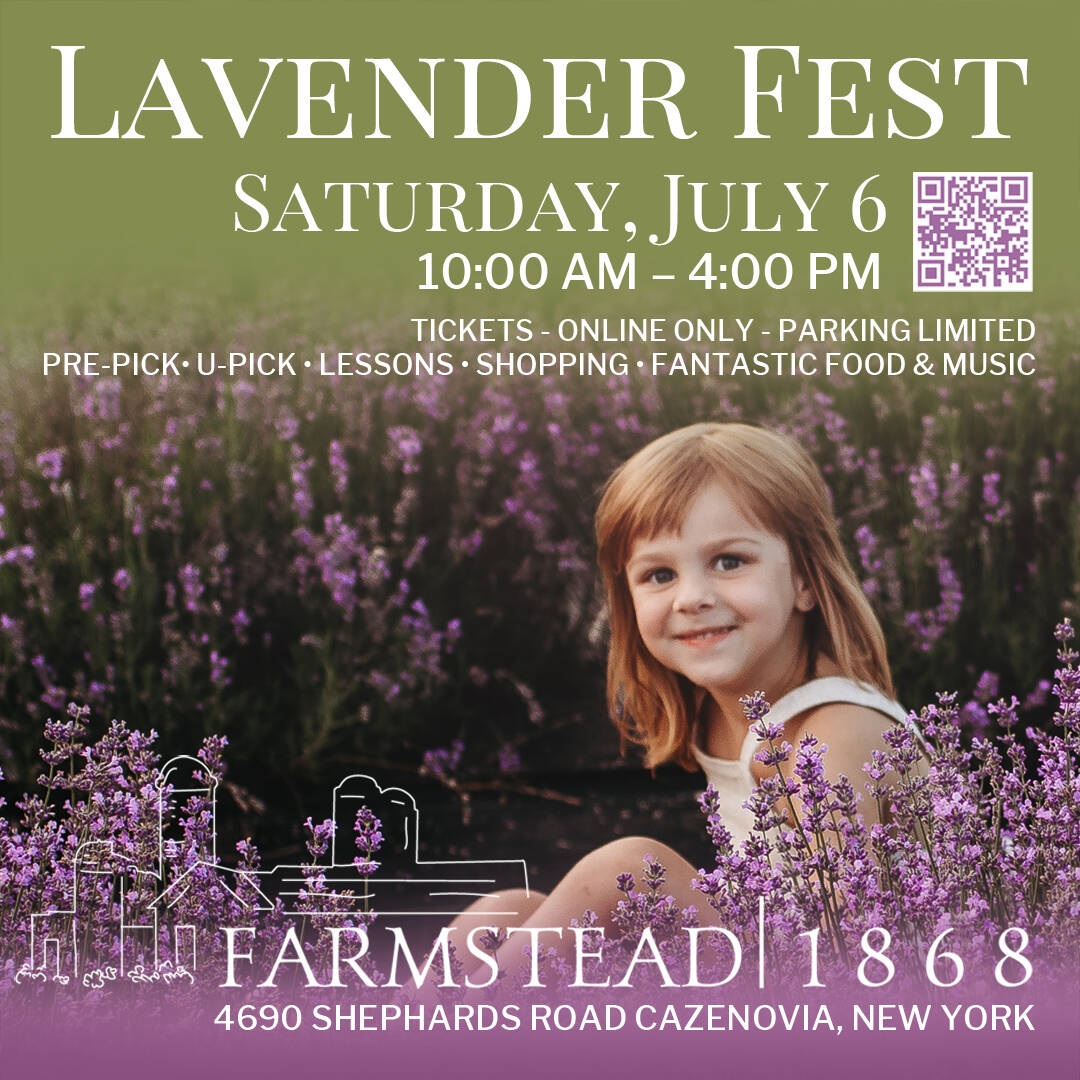 Cazenovia to host inaugural Lavender Festival