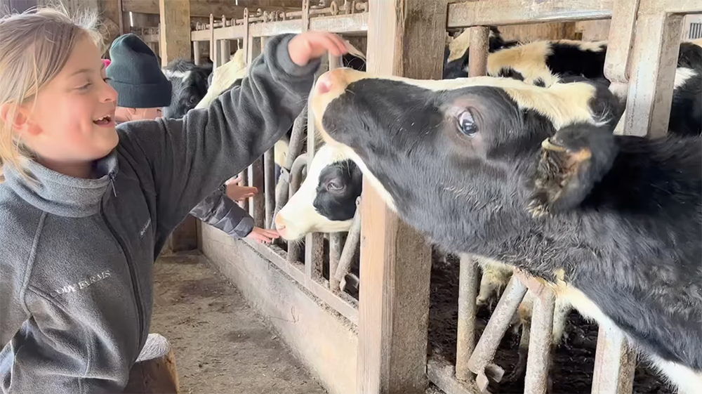 Farmstead featured by Barbland Dairy